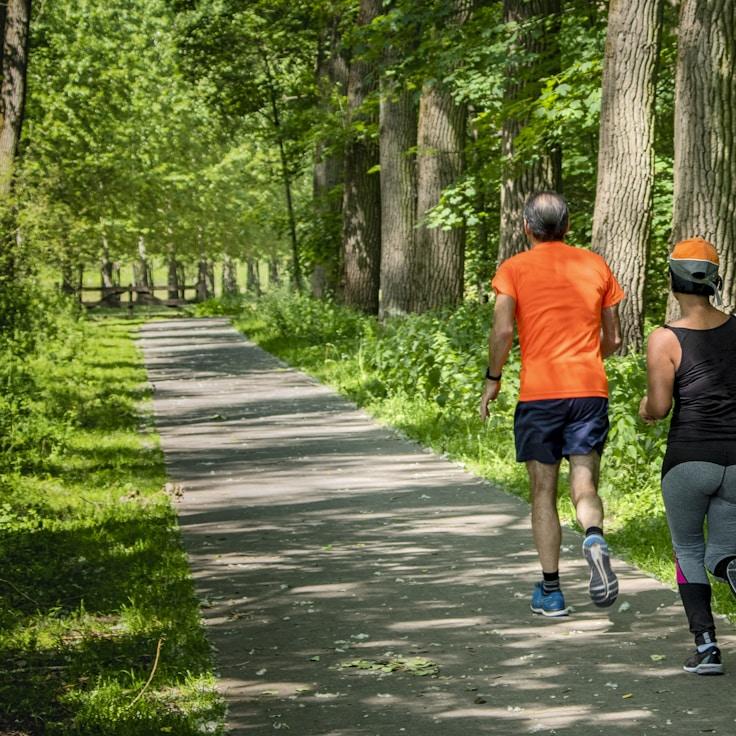 Professional gym interior with strength equipment
